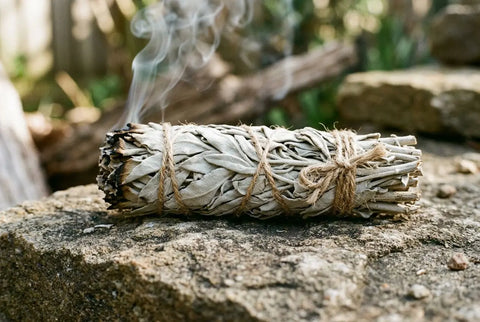 Les bienfaits de la sauge blanche : vertus et purification