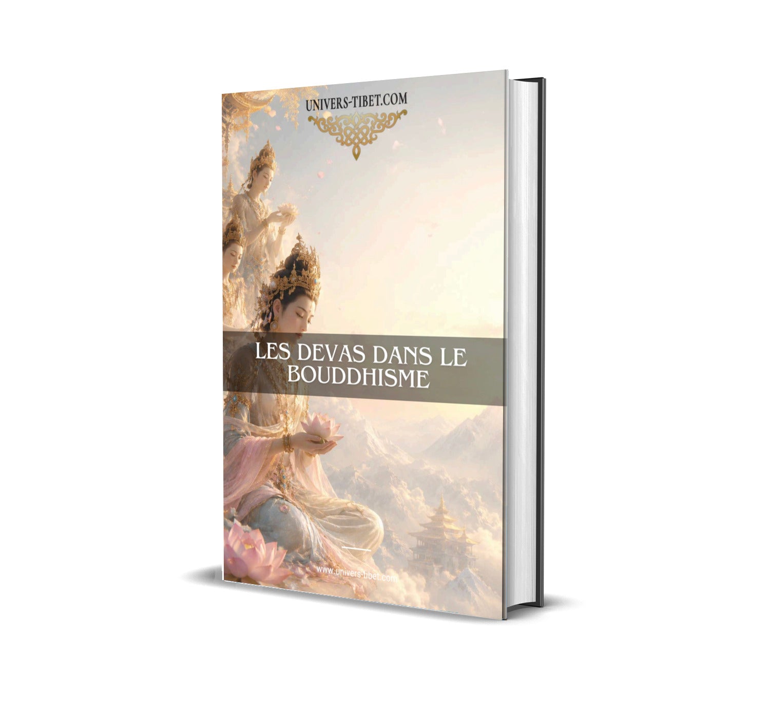 Couverture du Guide Les Devas dans le
boudhisme