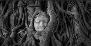 La Légende du Bouddha et de l'Arbre Sacré : Un Voyage Profond vers la Paix Intérieure