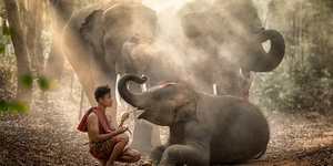 Le Roi Srongtsen Gampo et l’Éléphant Blanc : Une Légende de la Fondation Spirituelle du Tibet