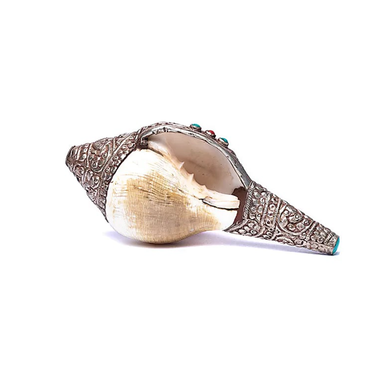 Conque tibétaine sacrée - objet rituel bouddhiste