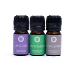 Coffret Huiles Essentielles Breathe – Song of India (Lavande, Menthe Poivrée, Eucalyptus)