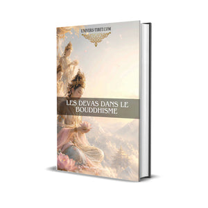 Couverture du Guide Les Devas dans le 
boudhisme